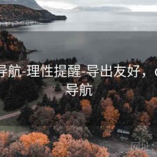 0149导航-理性提醒-导出友好，online导航