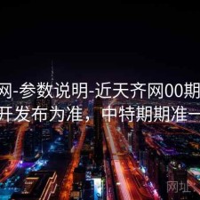 中特网-参数说明-近天齐网00期-以公开发布为准，中特期期准一