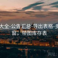 图库大全-公告汇总-导出表格-多时间窗，带图库存表
