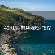 49图库-趋势观察-教程