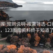 123图库-规则说明-按需筛选-口径透明，123图库资料终于知道了