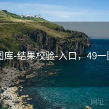 49图库-结果校验-入口，49一图库
