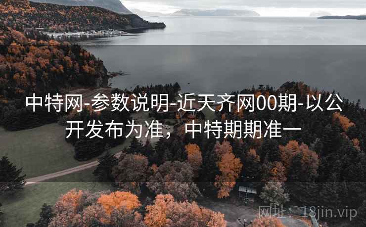 中特网-参数说明-近天齐网00期-以公开发布为准，中特期期准一  第2张